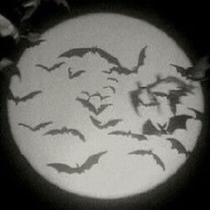 Meet your Posher, London